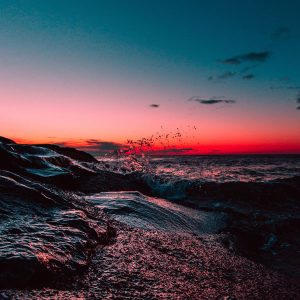 WordPress网站有什么样的优势，为什么使用wordpress建立品牌官网